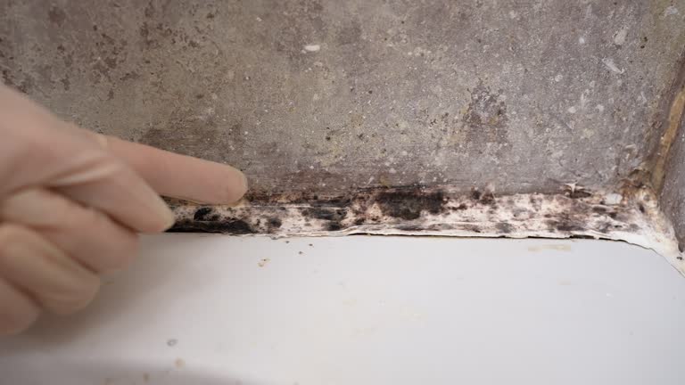 Mold Exposure & Symptoms